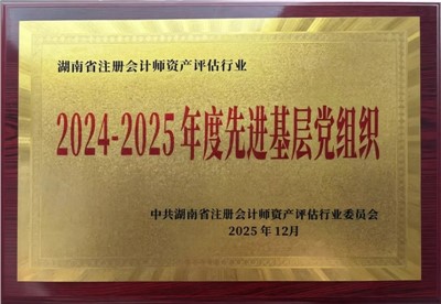 【喜报】党建引领谱新篇！中共湖南天信咨询集团联合党支部荣获多项省级表彰